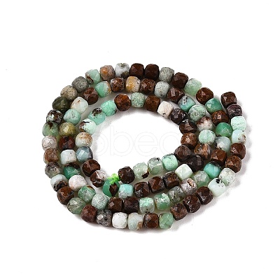 Natrual Green Opal Beads Strands G-N342-121-1