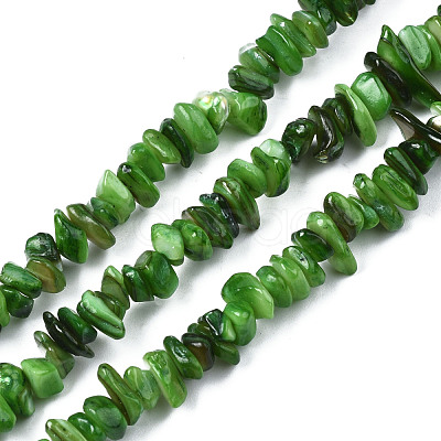 Natural Freshwater Shell Beads Strands SHEL-S278-070E-1