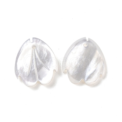 Natural White Shell Charms SSHEL-C011-07A-1