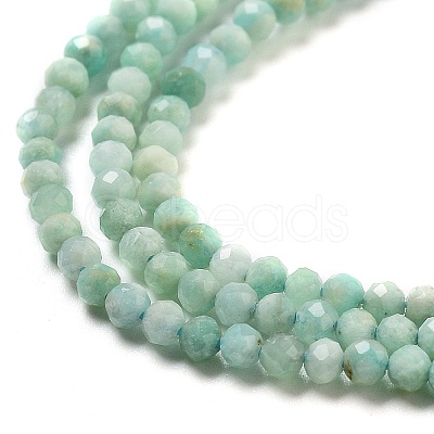 Natural Amazonite Beads Strands G-G161-A02-01-1