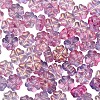 100Pcs Transparent Czech Glass Beads GLAA-CJ0001-55-5