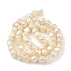 Electroplated Shell Pearl Beads Strands BSHE-C006-02B-2