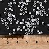 Glass Seed Beads SEED-S042-13A-01-5