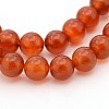 Natural Carnelian Beads Strands X-GSR8MM060-1-2