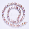 Natural Cultured Freshwater Pearl Beads Strands PEAR-N012-07H-3