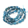 Natural Apatite Beads Strands G-T064-27-2