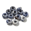 Natural Blue Spot Jasper Beads G-Q173-03A-14-1