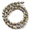 Natural Dalmatian Jasper Beads Strands G-B106-A29-01-3