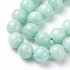 Natural African Amazonite Beads Strands G-G840-02A-2