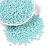 Baking Paint Glass Seed Beads SEED-T006-03G-3