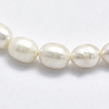 Natural Cultured Freshwater Pearl Beads Strands PEAR-F007-77-3