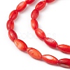 Natural Freshwater Shell Dyed Beads Strands SHEL-M018-13-05-3