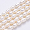 Natural Cultured Freshwater Pearl Beads Strands X-PEAR-N012-06D-2