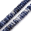 Natural Blue Spot Jasper Beads Strands G-T138-72-4