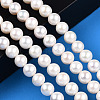 Natural Cultured Freshwater Pearl Beads Strands PEAR-N016-08A-2