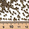 12/0 Glass Seed Beads SEED-A009-2mm-601-3