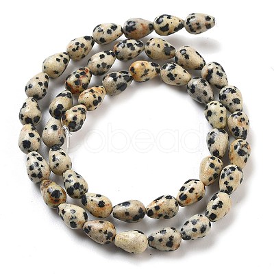 Natural Dalmatian Jasper Beads Strands G-B106-A29-01-1