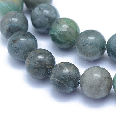 Natural Chrysocolla Beads Strands X-G-L552H-12-1