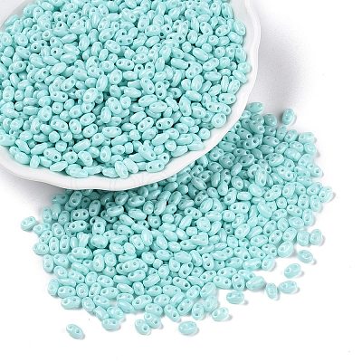 Baking Paint Glass Seed Beads SEED-T006-03G-1