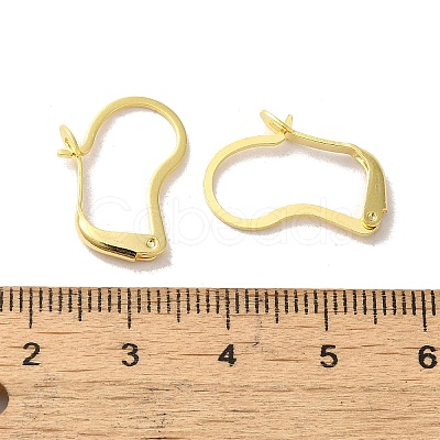 Brass Hoop Earring Findings FIND-Z039-30G-1