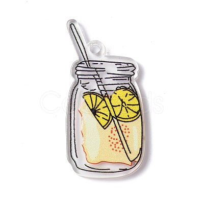 Transparent Printed Acrylic Pendants TACR-G042-01D-1