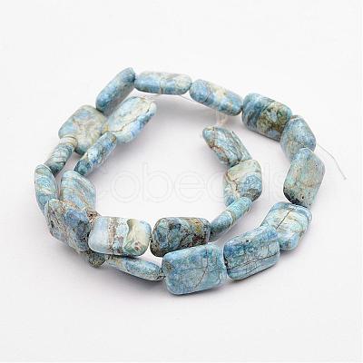 Natural Variscite Bead Strands G-P300-22-13x18mm-1