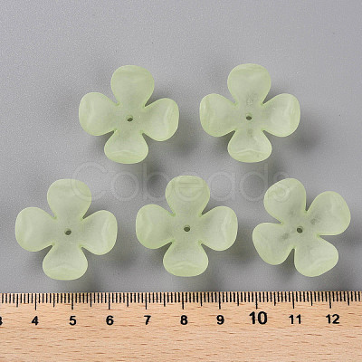 Frosted Acrylic Bead Caps MACR-S371-06A-728-1