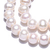 Natural Cultured Freshwater Pearl Beads Strands PEAR-N013-10E-5