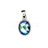 Natural Abalone Shell Charms PW-WG4179D-02-1