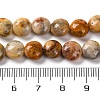 Natural Crazy Agate Beads Strands G-T047-A02-03-5