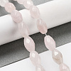 Natural Rose Quartz Beads Strands G-P520-C09-01-2
