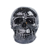 Resin Skull Display Decoration PW-WG35334-05-1