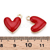 Eco-Friendly Zinc Alloy Pendants X-FIND-N048-030B-NR-3