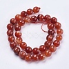 Natural Striped Agate/Banded Agate Beads Strands G-P364-12-10mm-2