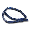 Natural Lapis Lazuli Beads Strands G-C084-E05-01-3