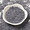 Baking Paint Glass Seed Beads SEED-P006-03A-27-2