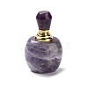 Natural Amethyst Dropper Bottles DJEW-K024-01G-03-2