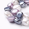 Electroplate Shell Pearl Beads Strands BSHE-O019-09C-3