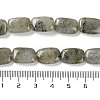 Natural Labradorite Beads Strands G-K357-D16-01-5