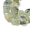 Natural Prehnite Beads Strands G-G053-B12-01C-4