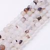 Natural Agate Beads Strands G-P278-05-8mm-1