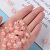 Transparent Acrylic Beads TACR-S152-03A-SS2109-5