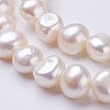Natural Cultured Freshwater Pearl Beads Strands PEAR-P002-28-3