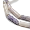 Natural Purple Turquoise Beads Strands G-D464-48-4