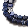 Natural Lapis Lazuli Beads Strands G-G085-B02-02-3