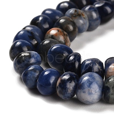 Natural Sodalite Beads Strands G-G053-C04-01-1