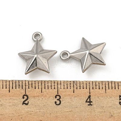 Non-Tarnish 304 Stainless Steel Charms STAS-I307-551P-1