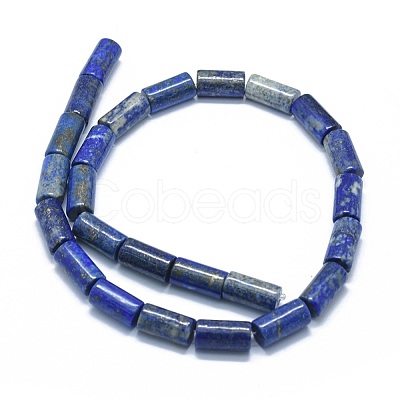 Natural Lapis Lazuli Beads Strands G-F631-F06-1