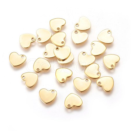 304 Stainless Steel Charms STAS-E447-23G-1