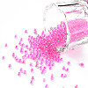 11/0 Grade A Transparent Glass Seed Beads X-SEED-N001-E-304-1